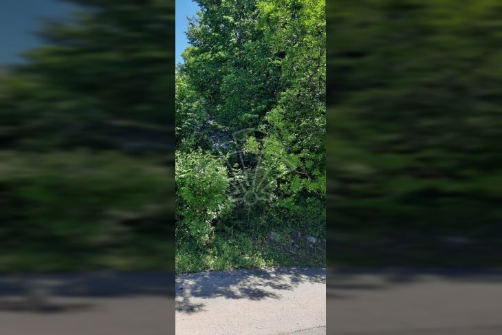 Građevinsko zemljište, Prodaja, Kostrena, Vrh Martinšćice Građevinsko zemljište, Prodaja, Kostrena, Vrh Martinšćice