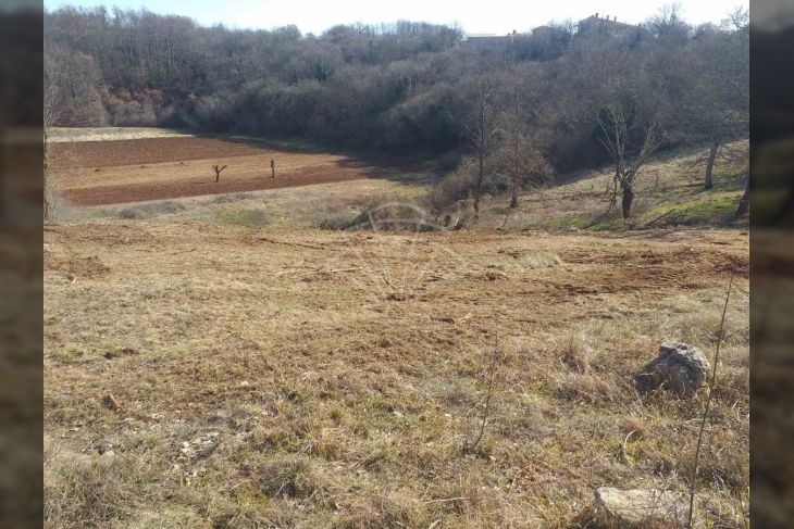 Građevinsko zemljište, Prodaja, Svetvinčenat, Bibići Građevinsko zemljište, Prodaja, Svetvinčenat, Bibići