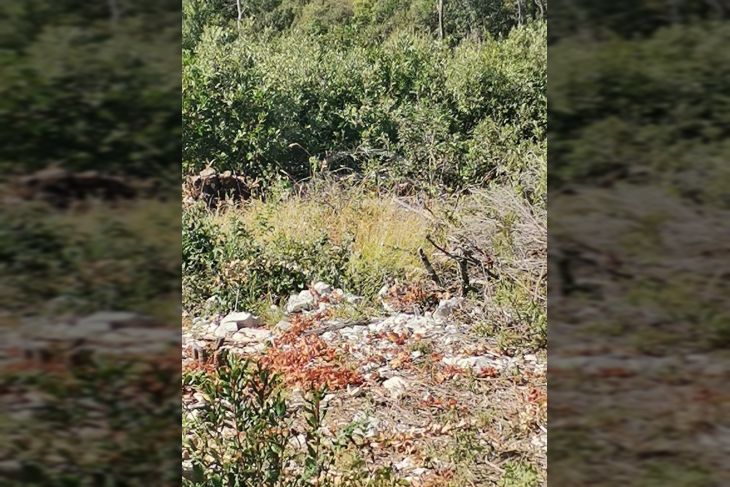 Poljoprivredno zemljište, Prodaja, Marčana, Krnica Poljoprivredno zemljište, Prodaja, Marčana, Krnica