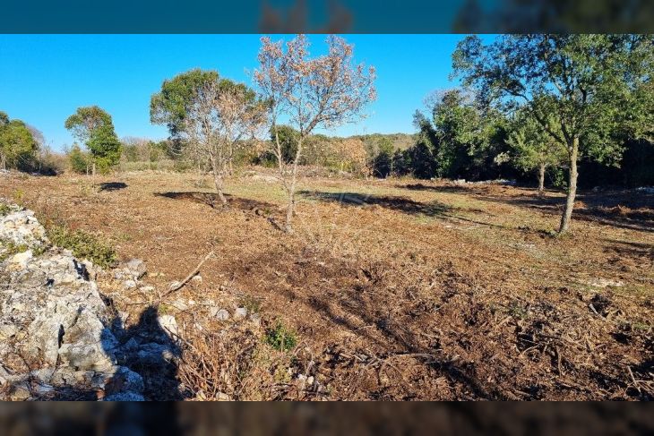 Poljoprivredno zemljište, Prodaja, Marčana, Kavran Poljoprivredno zemljište, Prodaja, Marčana, Kavran