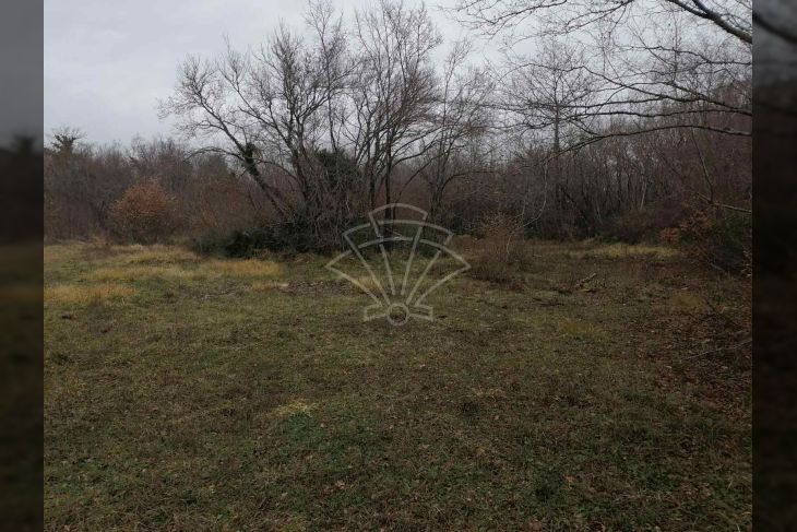 Poljoprivredno zemljište, Prodaja, Bale, Bale