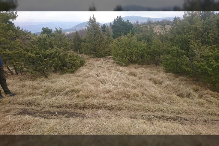 Poljoprivredno zemljište, Prodaja, Matulji, Lipa