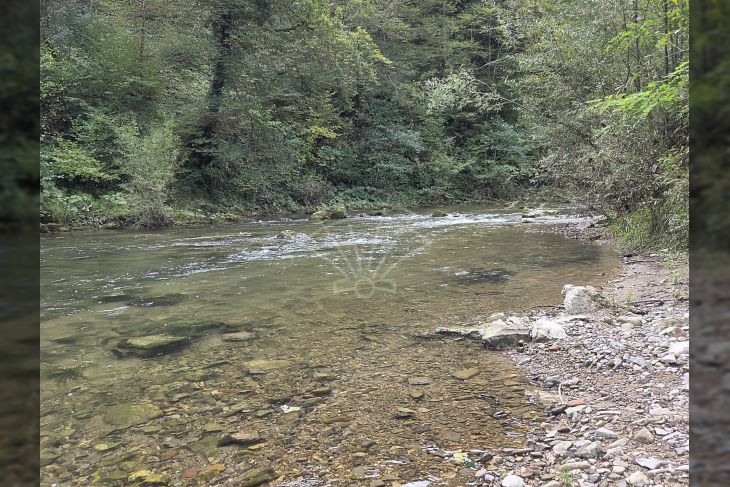 Poljoprivredno zemljište, Prodaja, Vrbovsko, Vrbovsko