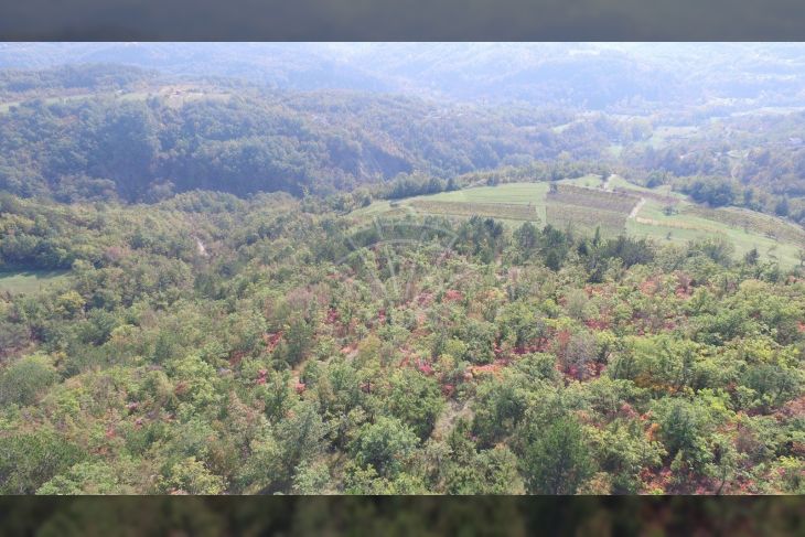 Poljoprivredno zemljište, Prodaja, Cerovlje, Draguć Poljoprivredno zemljište, Prodaja, Cerovlje, Draguć
