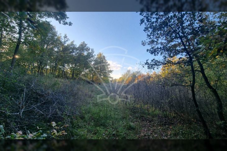 Poljoprivredno zemljište, Prodaja, Poreč, Baderna Poljoprivredno zemljište, Prodaja, Poreč, Baderna