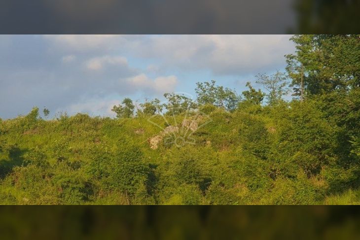 Građevinsko zemljište, Prodaja, Klana, Breza Građevinsko zemljište, Prodaja, Klana, Breza