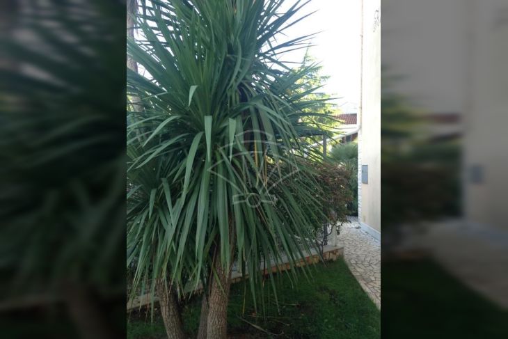 Samostojeća kuća, Prodaja, Medulin, Pješčana Uvala Samostojeća kuća, Prodaja, Medulin, Pješčana Uvala