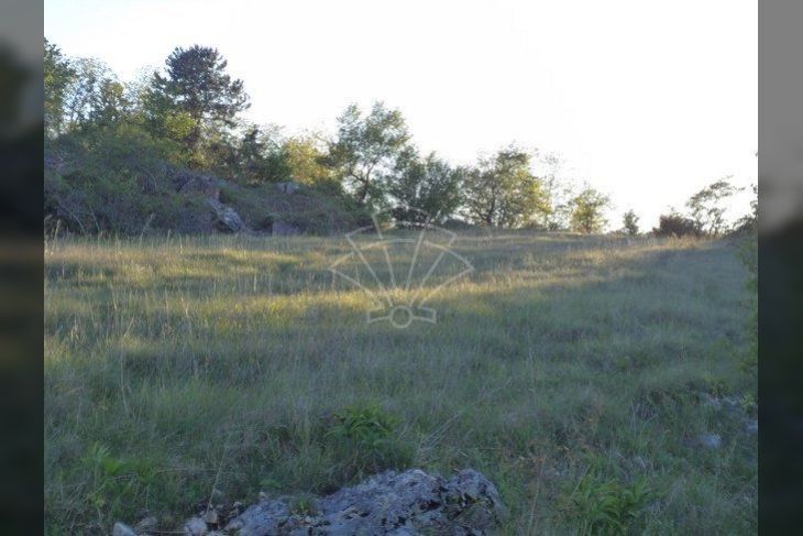 Poljoprivredno zemljište, Prodaja, Motovun, Motovun Poljoprivredno zemljište, Prodaja, Motovun, Motovun