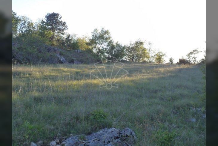 Poljoprivredno zemljište, Prodaja, Motovun, Motovun