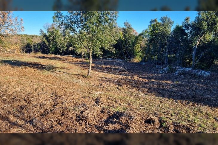 Poljoprivredno zemljište, Prodaja, Marčana, Kavran Poljoprivredno zemljište, Prodaja, Marčana, Kavran