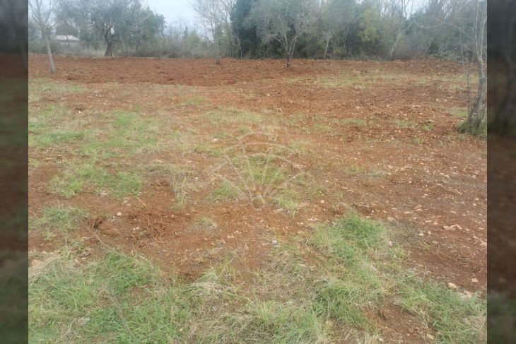Poljoprivredno zemljište, Prodaja, Ližnjan, Šišan Poljoprivredno zemljište, Prodaja, Ližnjan, Šišan