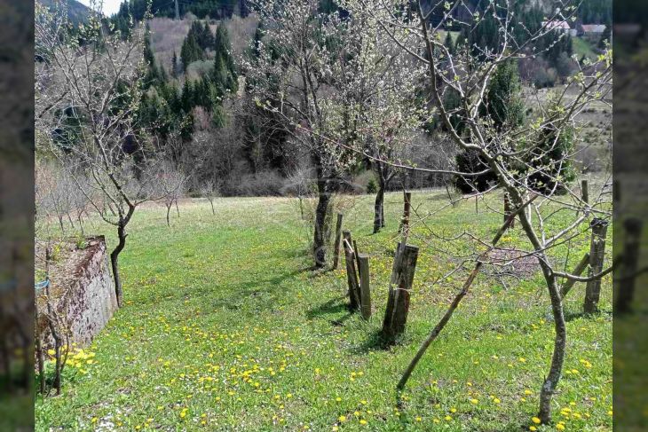 Samostojeća kuća, Prodaja, Ravna gora, Ravna Gora