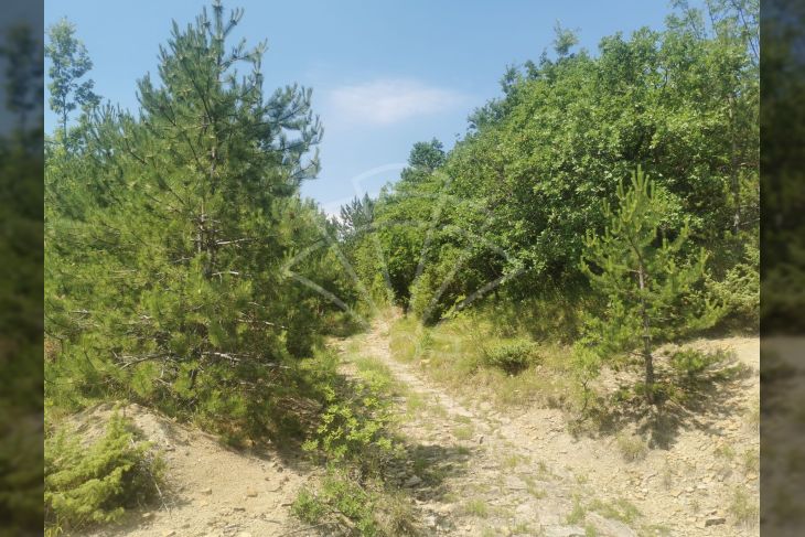 Poljoprivredno zemljište, Prodaja, Lupoglav, Lesišćina Poljoprivredno zemljište, Prodaja, Lupoglav, Lesišćina
