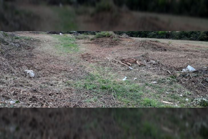 Građevinsko zemljište, Prodaja, Brtonigla, Brtonigla Građevinsko zemljište, Prodaja, Brtonigla, Brtonigla
