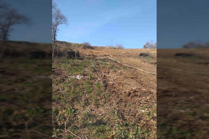 Građevinsko zemljište, Prodaja, Svetvinčenat, Bibići Građevinsko zemljište, Prodaja, Svetvinčenat, Bibići