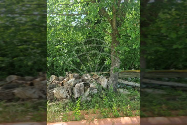 Građevinsko zemljište, Prodaja, Marčana, Filipana Građevinsko zemljište, Prodaja, Marčana, Filipana