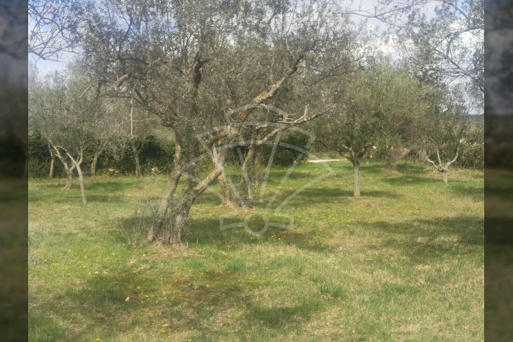 Poljoprivredno zemljište, Prodaja, Fažana, Fažana Poljoprivredno zemljište, Prodaja, Fažana, Fažana