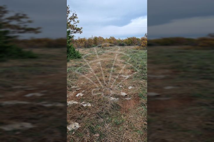 Poljoprivredno zemljište, Prodaja, Svetvinčenat, Štokovci Poljoprivredno zemljište, Prodaja, Svetvinčenat, Štokovci