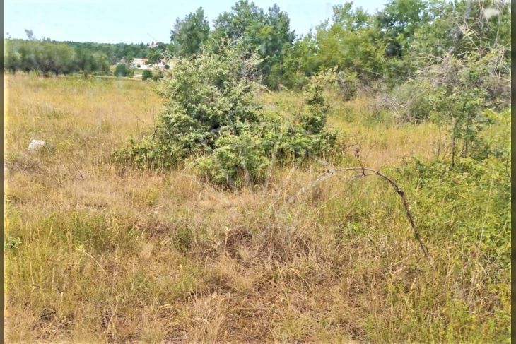 Livada, Prodaja, Poreč, Frata Livada, Prodaja, Poreč, Frata