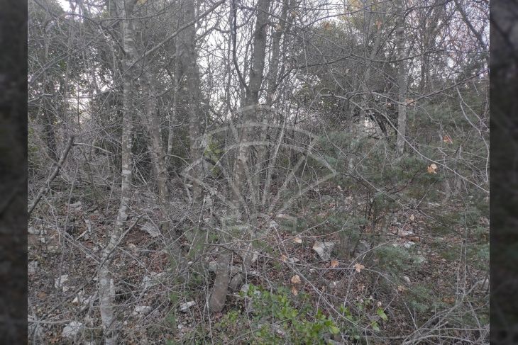 Zemljište - ostalo, Prodaja, Marčana, Peruški Zemljište - ostalo, Prodaja, Marčana, Peruški