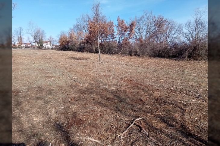 Građevinsko zemljište, Prodaja, Višnjan, Žikovići