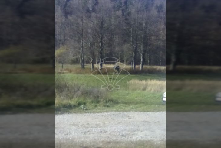 Poljoprivredno zemljište, Prodaja, Fužine, Fužine Poljoprivredno zemljište, Prodaja, Fužine, Fužine