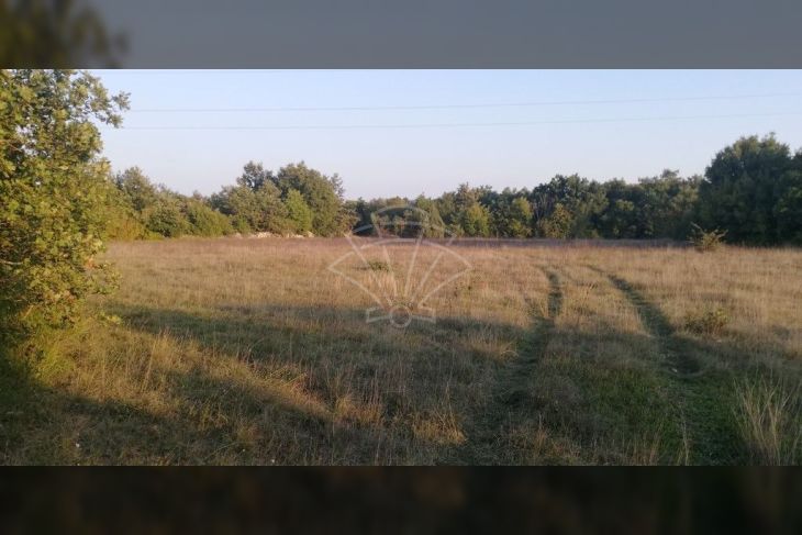 Poljoprivredno zemljište, Prodaja, Marčana, Divšići