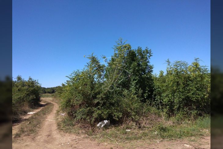 Poljoprivredno zemljište, Prodaja, Pula, Pula Poljoprivredno zemljište, Prodaja, Pula, Pula