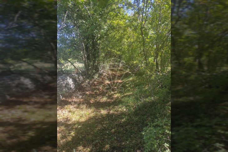 Poljoprivredno zemljište, Prodaja, Vodnjan, Vodnjan Poljoprivredno zemljište, Prodaja, Vodnjan, Vodnjan