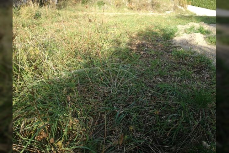 Građevinsko zamljište, Prodaja, Viškovo, Marinići Građevinsko zamljište, Prodaja, Viškovo, Marinići