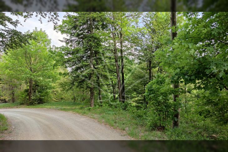 Poljoprivredno zemljište, Prodaja, Fužine, Fužine Poljoprivredno zemljište, Prodaja, Fužine, Fužine