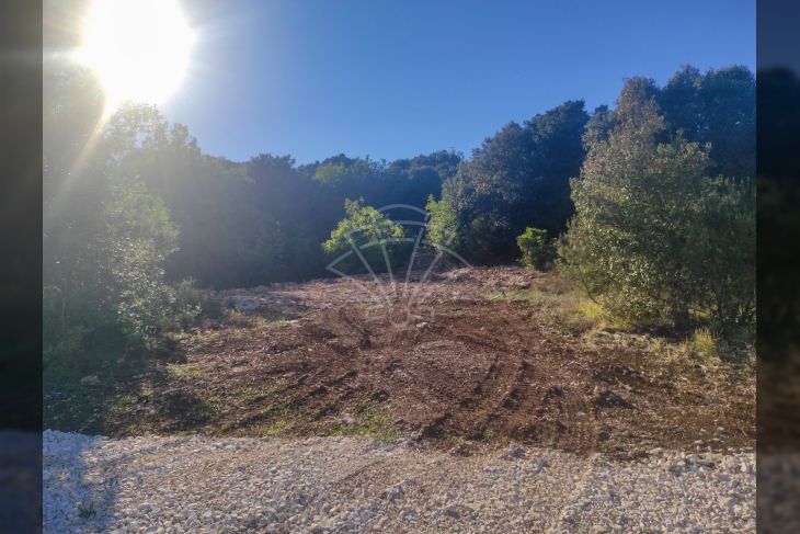 Šuma, Prodaja, Marčana, Kavran Šuma, Prodaja, Marčana, Kavran