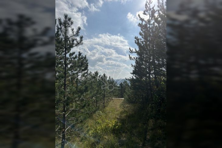 Poljoprivredno zemljište, Prodaja, Cerovlje, Cerovlje Poljoprivredno zemljište, Prodaja, Cerovlje, Cerovlje