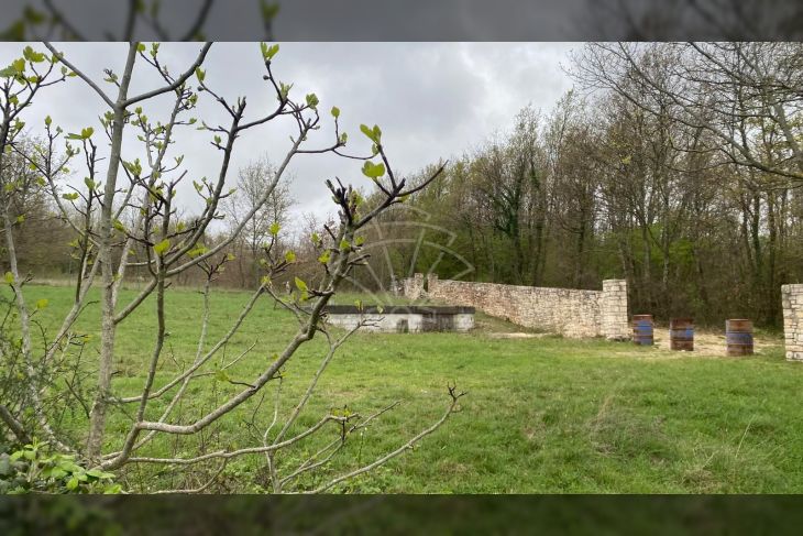Poljoprivredno zemljište, Prodaja, Kanfanar, Jural