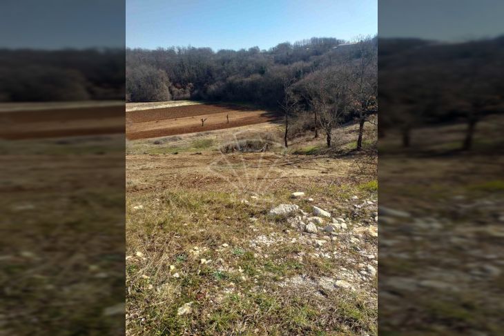Građevinsko zemljište, Prodaja, Svetvinčenat, Bibići Građevinsko zemljište, Prodaja, Svetvinčenat, Bibići
