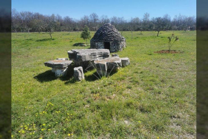 Poljoprivredno zemljište, Prodaja, Vodnjan, Vodnjan