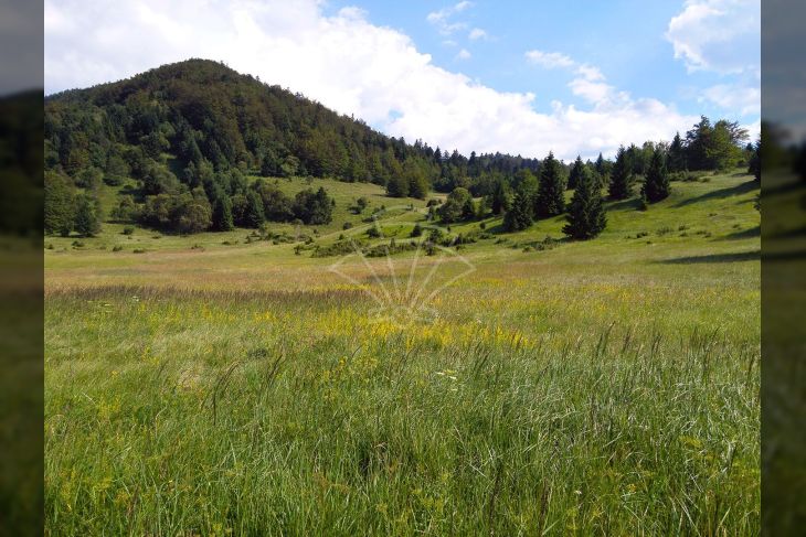 Poljoprivredno zemljište, Prodaja, Ravna gora, Stari Laz