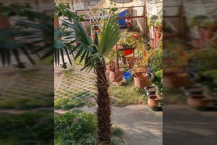 Stan u zgradi, Prodaja, Pula, Pula Stan u zgradi, Prodaja, Pula, Pula