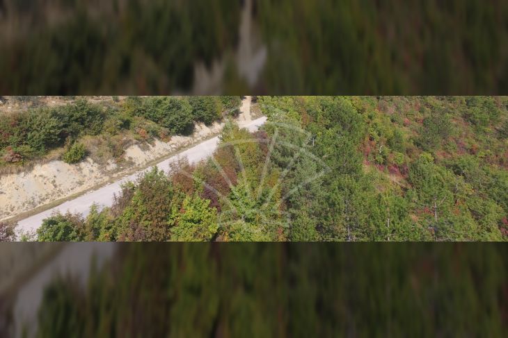 Poljoprivredno zemljište, Prodaja, Cerovlje, Draguć Poljoprivredno zemljište, Prodaja, Cerovlje, Draguć