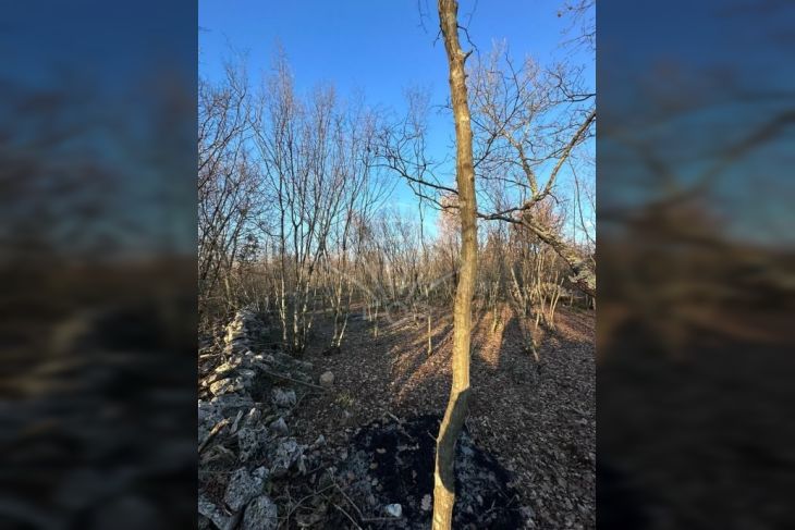 Građevinsko zemljište, Prodaja, Malinska-dubašnica, Kremenići Građevinsko zemljište, Prodaja, Malinska-dubašnica, Kremenići
