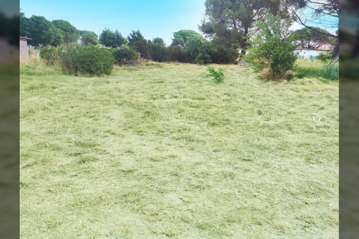 Poljoprivredno zemljište, Prodaja, Fažana, Valbandon