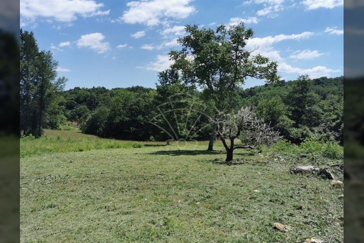 Građevinsko zemljište, Prodaja, Pazin - Okolica, Bertoši Građevinsko zemljište, Prodaja, Pazin - Okolica, Bertoši