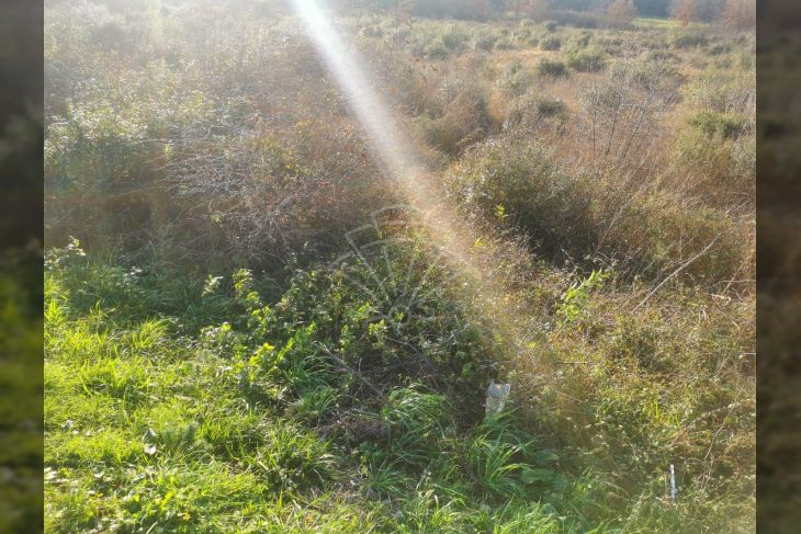 Građevinsko zemljište, Prodaja, Pula, Pula Građevinsko zemljište, Prodaja, Pula, Pula