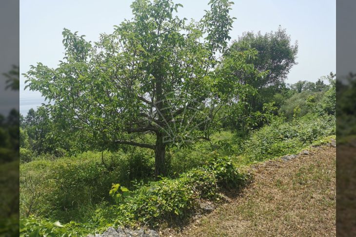 Građevinsko zemljište, Prodaja, Mošćenička draga, Sveti Anton