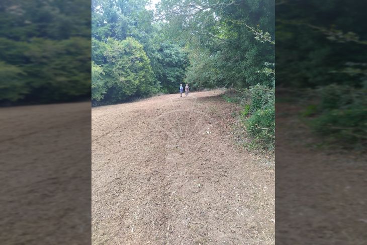 Građevinsko stambeno zemljište, Prodaja, Višnjan, Višnjan