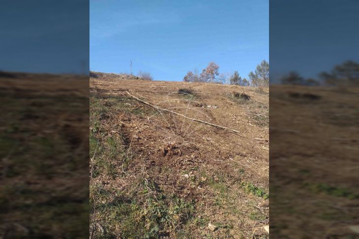 Građevinsko zemljište, Prodaja, Svetvinčenat, Bibići Građevinsko zemljište, Prodaja, Svetvinčenat, Bibići