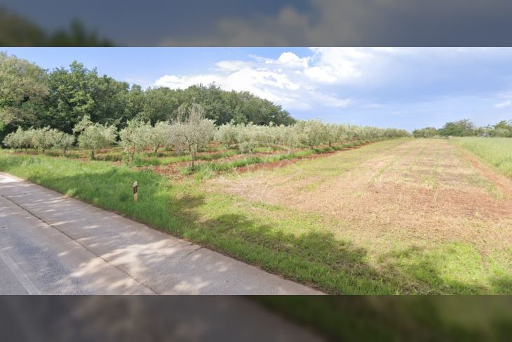 Poljoprivredno zemljište, Prodaja, Novigrad, Novigrad Poljoprivredno zemljište, Prodaja, Novigrad, Novigrad