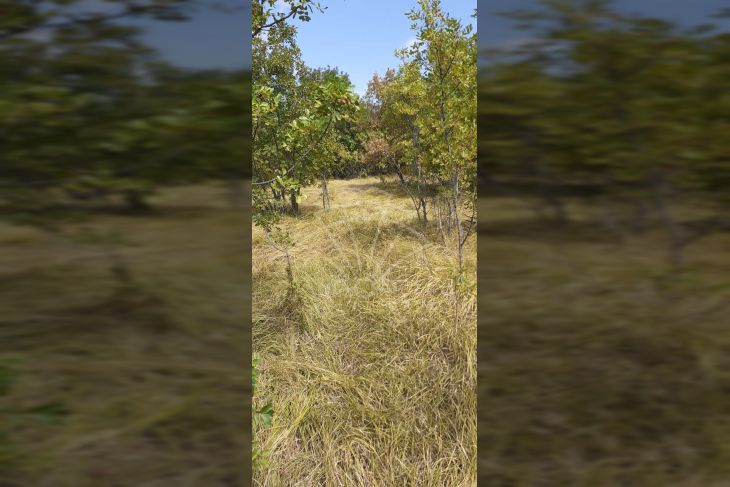 Građevinsko zemljište, Prodaja, Kostrena, Plešići Građevinsko zemljište, Prodaja, Kostrena, Plešići