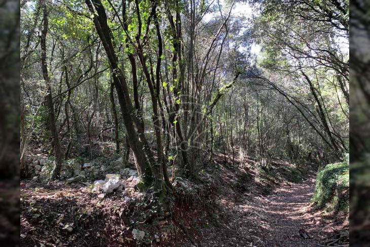 Šuma, Prodaja, Marčana, Rakalj Šuma, Prodaja, Marčana, Rakalj