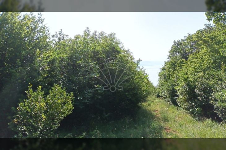 Građevinsko zemljište, Prodaja, Opatija, Opatija Građevinsko zemljište, Prodaja, Opatija, Opatija